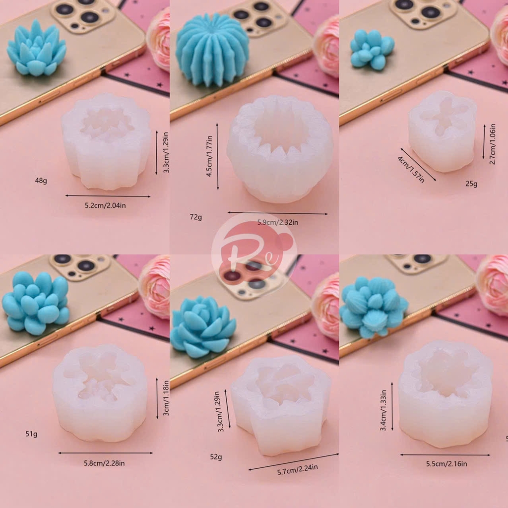 Combo 6 khuôn sen đá