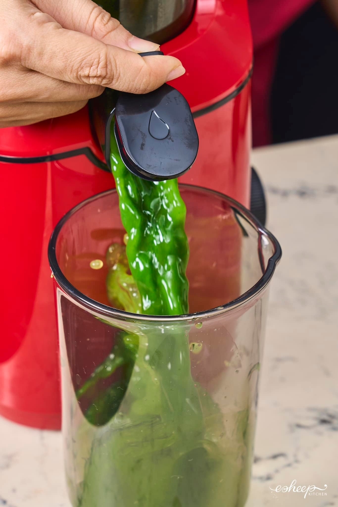 [BÁN CHẠY NHẤT] Máy ép chậm nguyên quả 3S Premium Lazychef