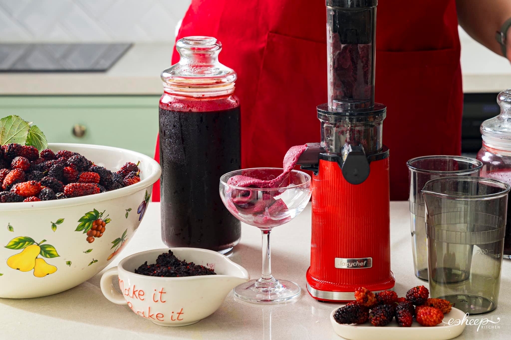 Máy ép chậm mini 3S LC-02ME Lazychef