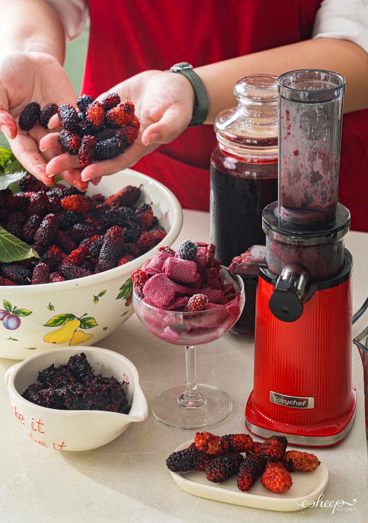 Máy ép chậm mini 3S LC-02ME Lazychef