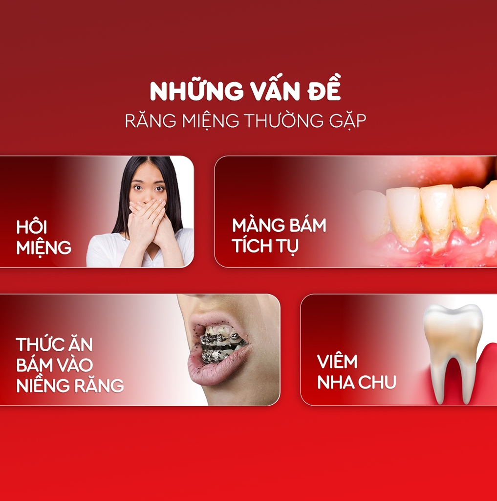 Máy Tăm nước Bỏ túi 3s