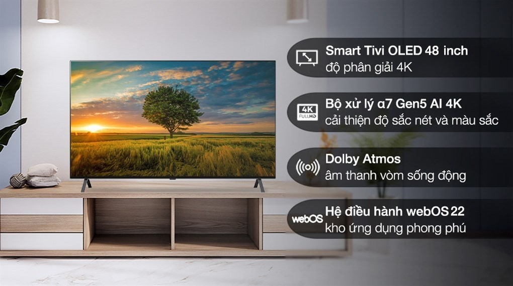Smart Tivi OLED LG 4K 48 inch 48A2PSA