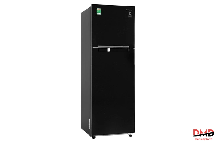 Tủ lạnh Samsung Inverter 256 lít RT25M4032BU/SV