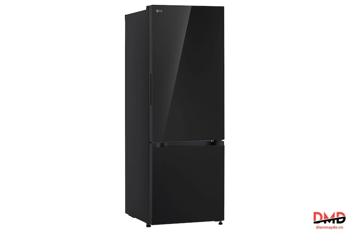 Tủ lạnh LG Inverter 335 lít B33BG
