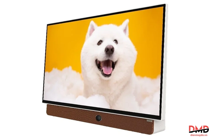 Google Tivi Coocaa di động 24 inch 24LP6000G