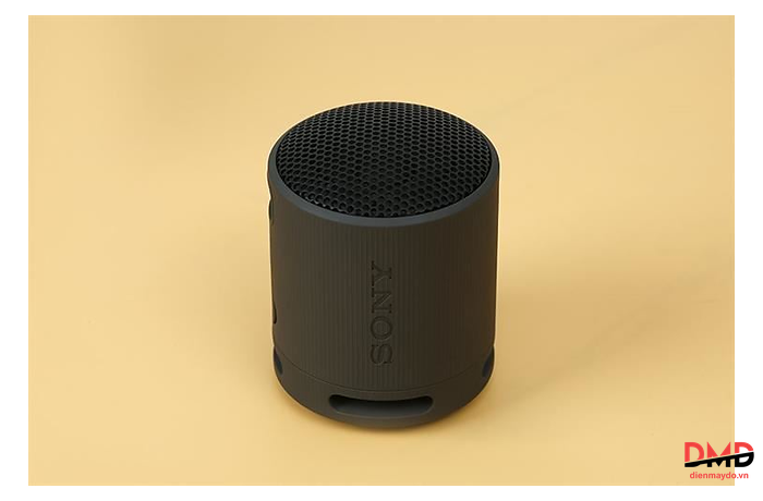 Loa Bluetooth Sony SRS-XB100