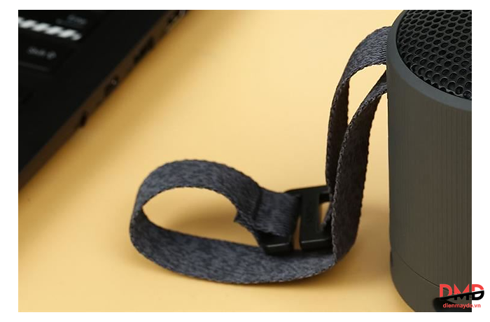 Loa Bluetooth Sony SRS-XB100