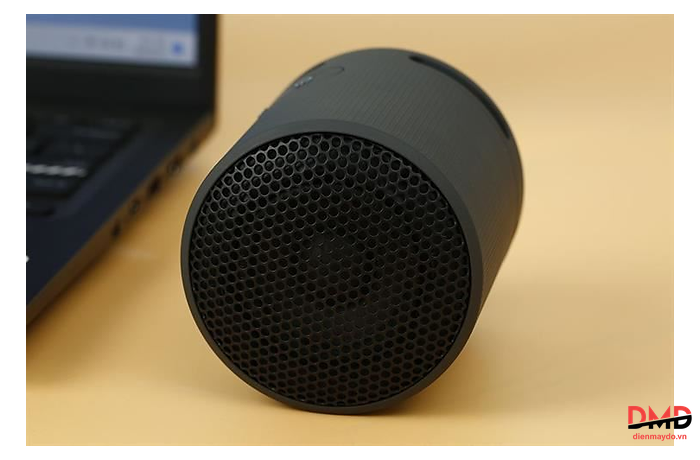 Loa Bluetooth Sony SRS-XB100