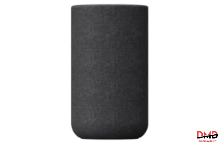 Loa Sau Không Dây Tùy Chọn Sony SA-RS5 //C SP1