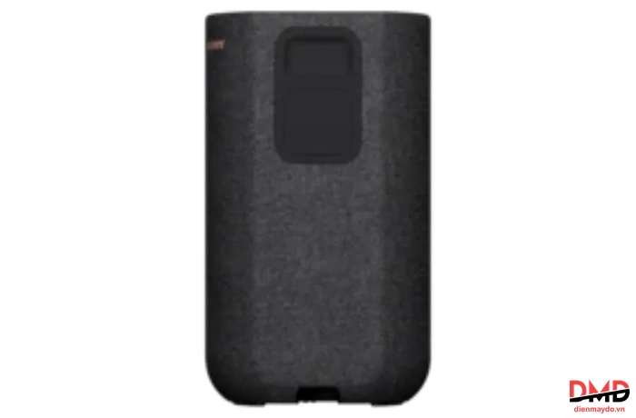 Loa Sau Không Dây Tùy Chọn Sony SA-RS5 //C SP1