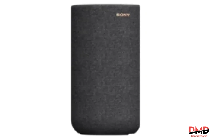 Loa Sau Không Dây Tùy Chọn Sony SA-RS5 //C SP1
