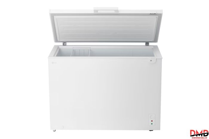 Tủ đông LG Inverter 291 lít C30WH