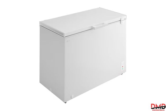 Tủ đông LG Inverter 291 lít C30WH