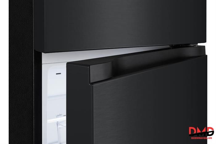 Tủ lạnh LG Inverter 217 lít LTB21BLMI