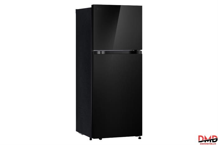 Tủ lạnh LG Inverter 217 lít T21BG