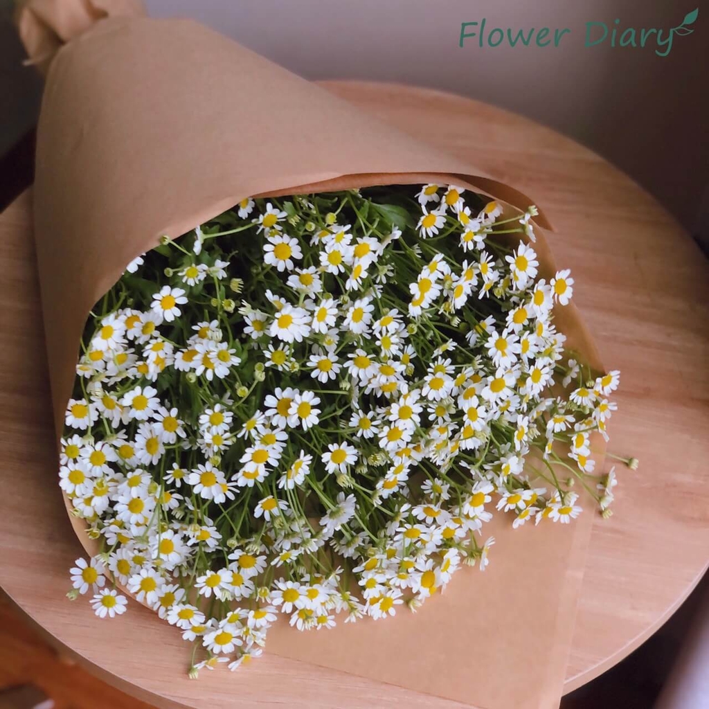 Bó hoa FB01029 | Flower Diary