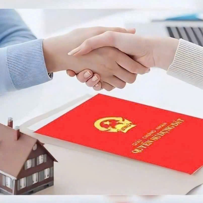 ĐẤT NỀN BIỂN QUẤT LÂM – VỊ TRÍ TRIỆU ĐÔ, SINH LỜI KHÔNG GIỚI HẠN