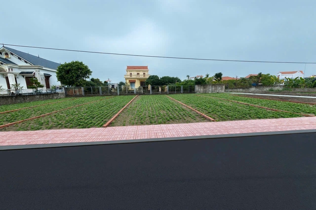 HÌNH DUNG KHI BẠN SỞ HƯU 3 LÔ ĐẤT MẶT BIỂN QUẤT LÂM