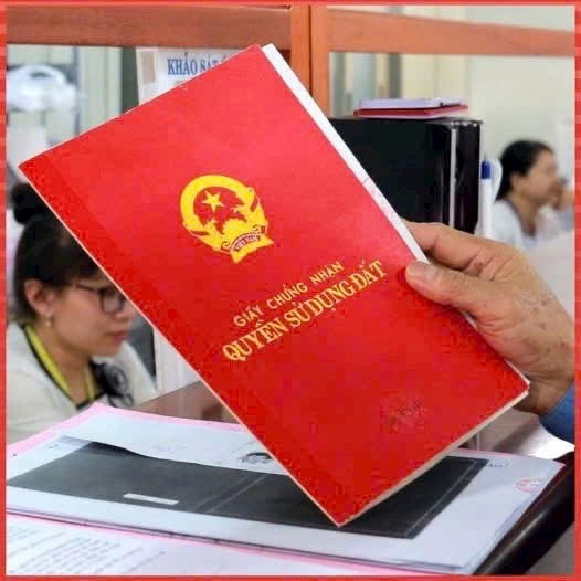 LÔ ĐẤT BIỂN QUẤT LÂM – CƠ HỘI TĂNG TRƯỞNG 2026, GIỮ TIỀN – SINH LỜI – ĐÓN SÓNG BIỂN