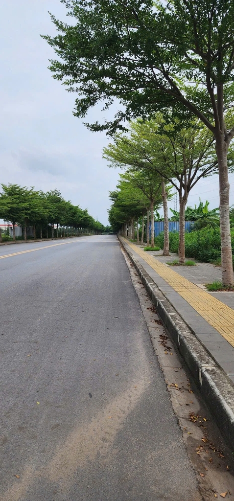 Bán 74m2 Đất Song Phượng Thị Trấn Phùng