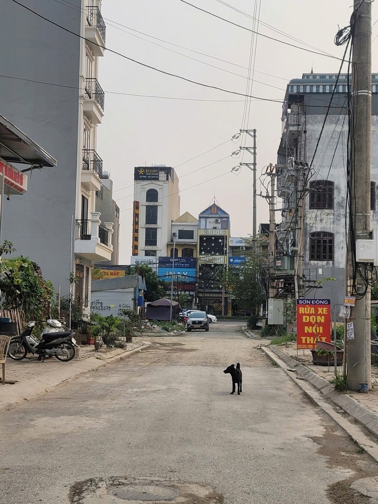 Bán Đất Dịch Vụ 5,/h Tram Trôi Hoài Đức Hà Nội