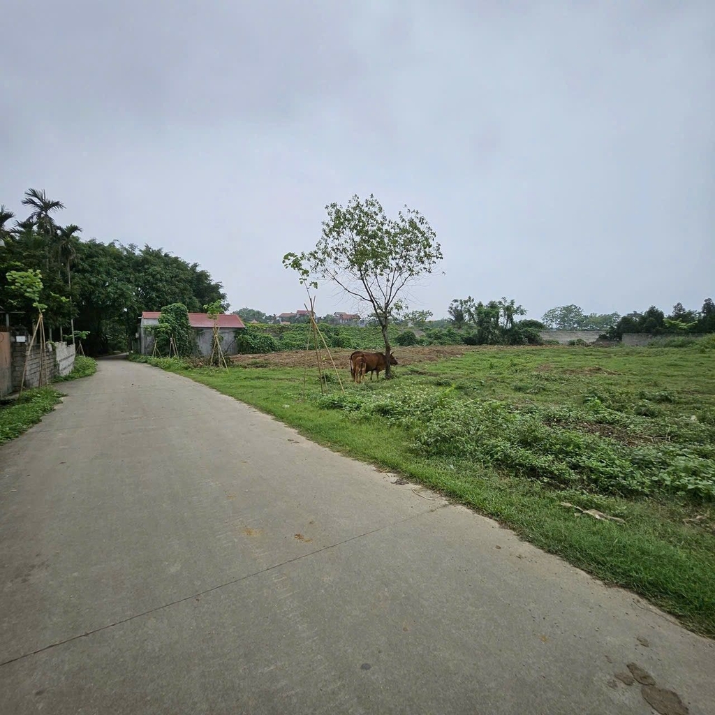 BÁN ĐẤT TRỒNG CÂY 1.290M² - THÔN ĐỐI, XÃ THANH BÌNH, CHƯƠNG MỸ - SỔ ĐỎ RIÊNG - SÁT KHU CÔNG NGHIỆP - 4 TỶ