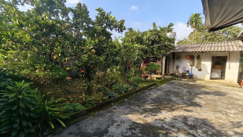 NHÀ VƯỜN 355M² - THÔN ĐỒNG KÉ, TRẦN PHÚ - NHÀ CẤP 4, VƯỜN CÂY, KHU CHĂN NUÔI - CÁCH BẾN XE YÊN NGHĨA 1 CHẶNG XE BUÝT - GIÁ 1.75 TỶ