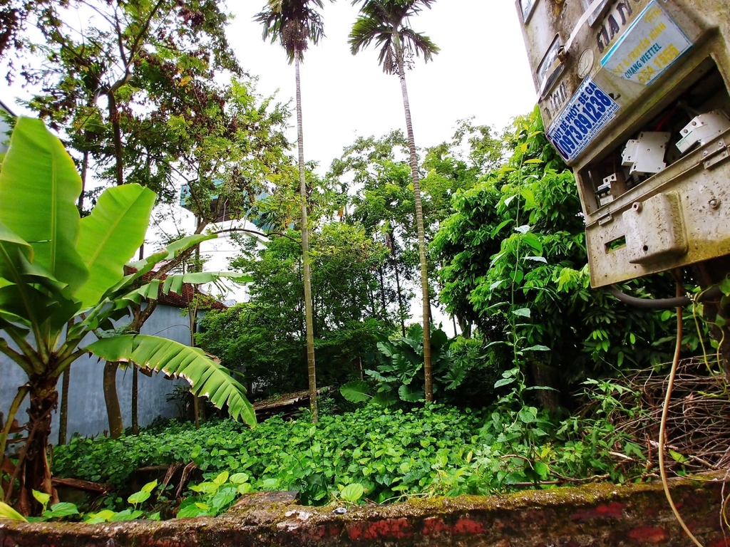 ĐẤT VUÔNG ĐẸP 106M² - SỐ 7 NGÕ ĐÌNH, ĐẠI YÊN - NGÕ RỘNG Ô TÔ VÀO NHÀ - SÁT ĐT419 - GIÁ 6.2 TỶ