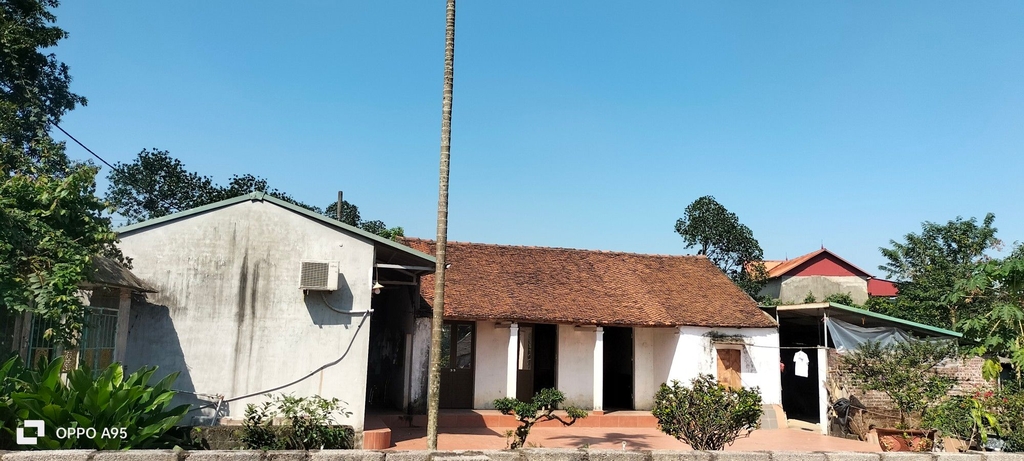 ĐẤT PHÂN LÔ/BiỆT THỰ 704M² - THÔN HÒA BÌNH, HOÀNG VĂN THỤ - SỔ ĐỎ ĐẸP - GẦN ĐẢNG ỦY, CHỢ, TRƯỜNG - GIÁ 7.4 TỶ