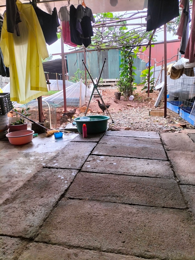 🚨 CƠ HỘI ĐẦU TƯ DOANH NGHIỆP: ĐẤT MẶT TIỀN ĐT 419 - NGÃ 5 CHỢ CỐNG | 118M² + TẶNG NHÀ C4 | XÂY TÒA VĂN PHÒNG, SIÊU THỊ - GIÁ 8.86 TỶ