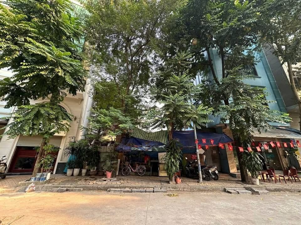 Mảnh Đất Vàng Độc Tôn Trần Quang Diệu, Đống Đa - 357m² VIEW VƯỜN HOA, Xây Dựng Tòa Nhà