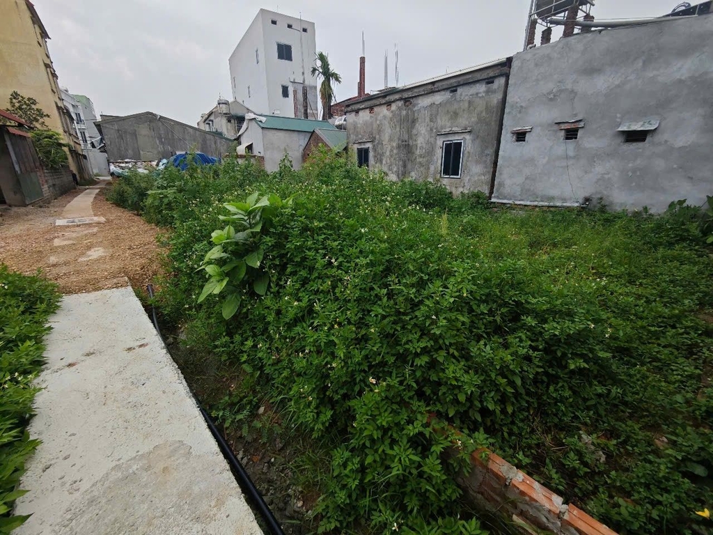 ĐẤT MẶT TIỀN ĐT 419 - CHƯƠNG MỸ | 192M² - MT20M | LINH HOẠT: BÁN CẢ 7 TỶ HOẶC CHIA 3 LÔ RIÊNG (66M²/66M²/60M²)