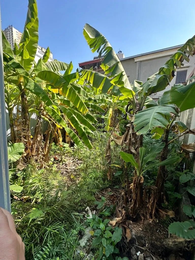 BÁN ĐẤT LAI XÁ HOÀI ĐỨC - 170M2 MẶT TIỀN 7M - Ô TÔ QUA NHÀ - KINH DOANH - XÂY TÒA CCMN DÒNG TIỀN KHỦNG