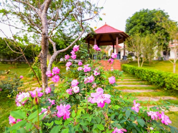 BÁN KHU NGHỈ DƯỠNG CANDY VILLA 3998M² - VIỆT YÊN, YÊN BÀI, BA VÌ - 1 BIỆT THỰ + 3 HOME FALOW - BỂ BƠI - 28.5 TỶ