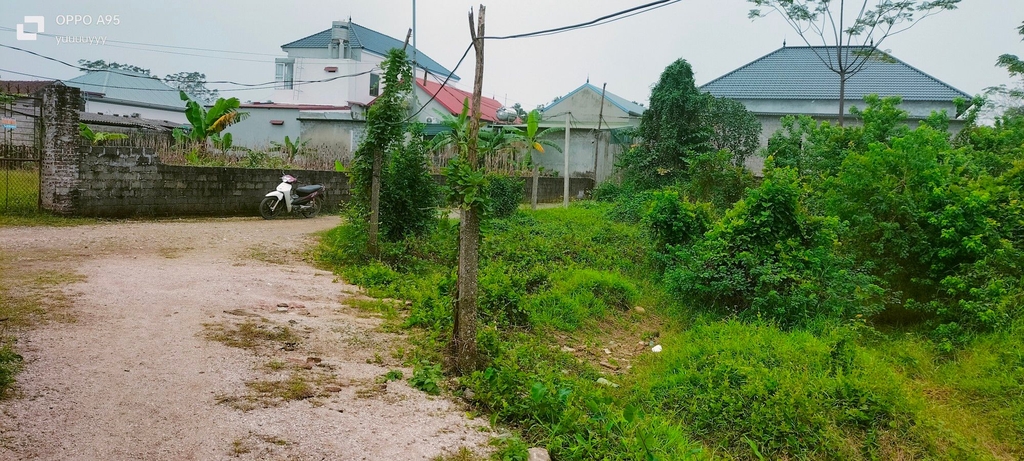 ĐẤT ĐẦU TƯ GIÁ TỐT 1493M² - THÔN HẠNH CÔN, XÃ XUÂN MAI, CHƯƠNG MỸ - SỔ ĐỎ CHÍNH CHỦ - GIÁ CHỈ 5.2 TỶ