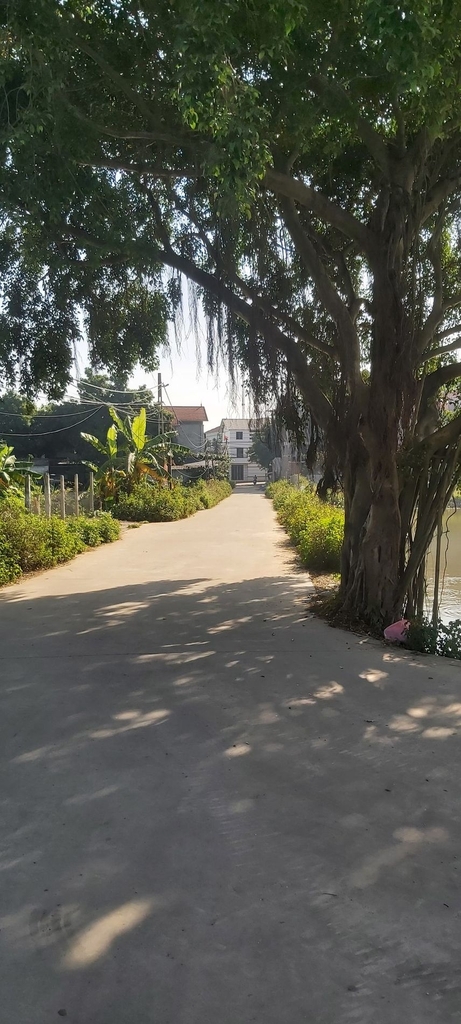 ĐẤT MẶT ĐƯỜNG HAI MẶT 117M² - AO LÀNG, THÔN ĐÔNG CỰU - Ô TÔ TRÁNH NHAU - VIEW HỒ SINH THÁI - 4.1 TỶ