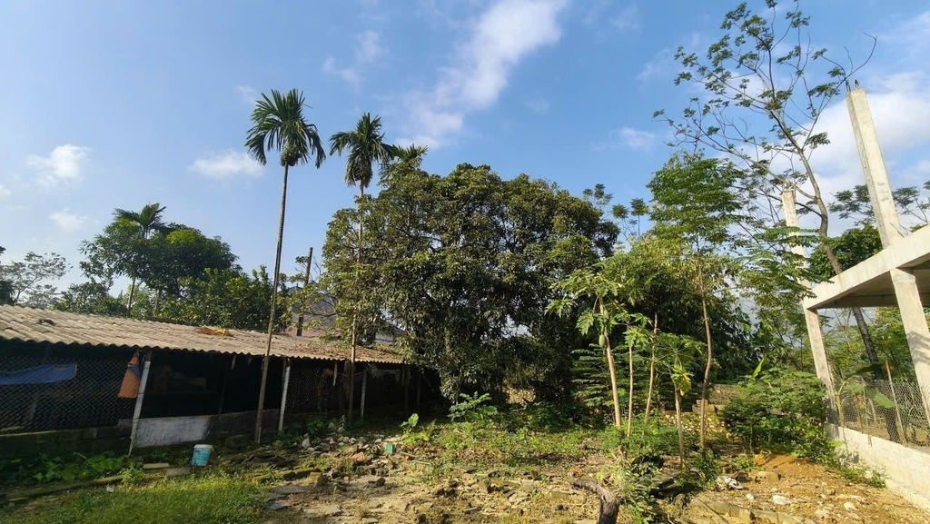 NHÀ VƯỜN 355M² - THÔN ĐỒNG KÉ, TRẦN PHÚ - NHÀ CẤP 4, VƯỜN CÂY, KHU CHĂN NUÔI - CÁCH BẾN XE YÊN NGHĨA 1 CHẶNG XE BUÝT - GIÁ 1.75 TỶ