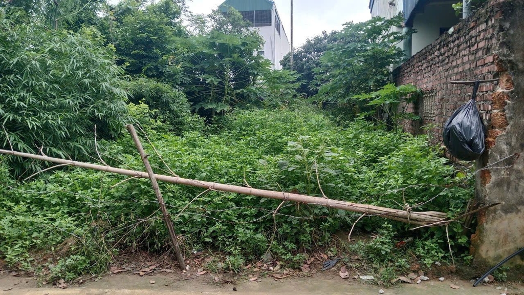 ĐẤT THỔ CƯ 125M² - MẶT NGÕ THÔNG 7M - XÃ YÊN BÌNH, THẠCH THẤT - SỔ ĐỎ CHÍNH CHỦ - GIÁ 4.8 TỶ