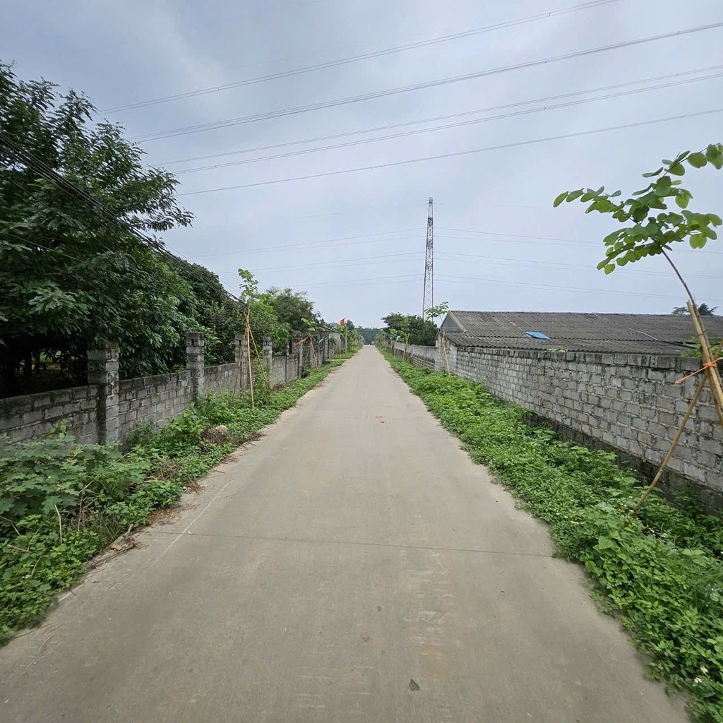 BÁN ĐẤT TRỒNG CÂY 1.290M² - THÔN ĐỐI, XÃ THANH BÌNH, CHƯƠNG MỸ - SỔ ĐỎ RIÊNG - SÁT KHU CÔNG NGHIỆP - 4 TỶ