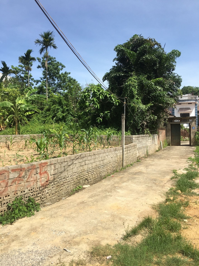 🚨 CƠ HỘI HIẾM & THƯỞNG LỚN! ĐẤT 486M² - LIÊN XÃ | TIỀM NĂNG XÂY CHUNG CƯ MINI HOẶC PHÂN LÔ | Ô TÔ VÀO ĐẤT - GIÁ 2.95 TỶ