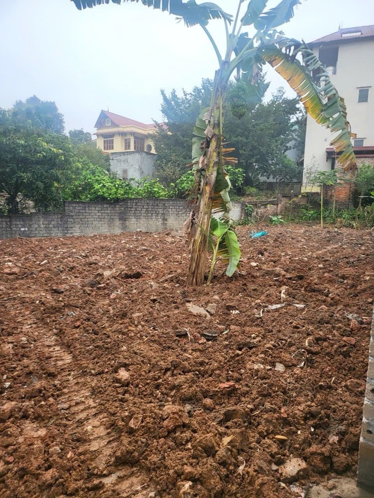 BÁN GẤP ĐẤT 353M² - NGÕ 21 CHÙA THÔNG, TRUNG HƯNG - MẶT TIỀN 14M - GIÁ 10.5 TỶ