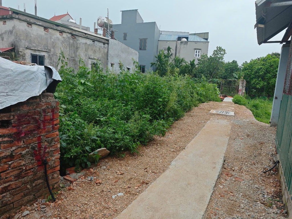 ĐẤT MẶT TIỀN ĐT 419 - CHƯƠNG MỸ | 192M² - MT20M | LINH HOẠT: BÁN CẢ 7 TỶ HOẶC CHIA 3 LÔ RIÊNG (66M²/66M²/60M²)