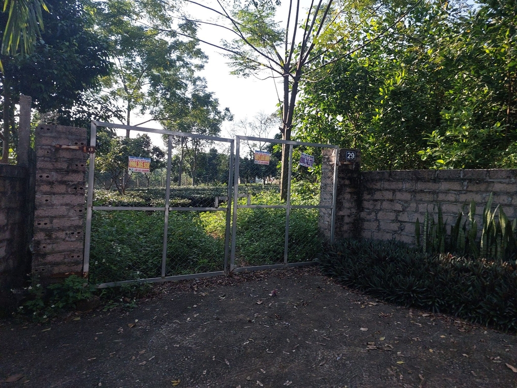 BÁN ĐẤT NGHỈ DƯỠNG 1.652M² - ĐƯỜNG TRUNG THƯỢNG, BA VÌ - DIỆN TÍCH SIÊU LỚN - GIÁ 8.9 TỶ