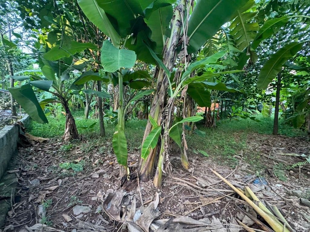 BÁN 500M2 ĐẤT FULL THỔ CƯ - THÔN VẠN PHÚC, HƯƠNG SƠN - GIÁ 5.2 TỶ - Ô TÔ 7 CHỖ VÀO ĐẤT