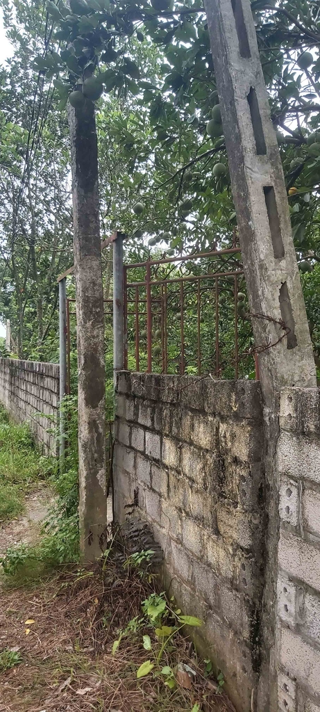 BÁN ĐẤT TRỒNG CÂY QUY MÔ LỚN - THÔN PHÙ YÊN, ỨNG HÒA - 1609M2 - MẶT TIỀN 27M - GIÁ 6.9 TỶ