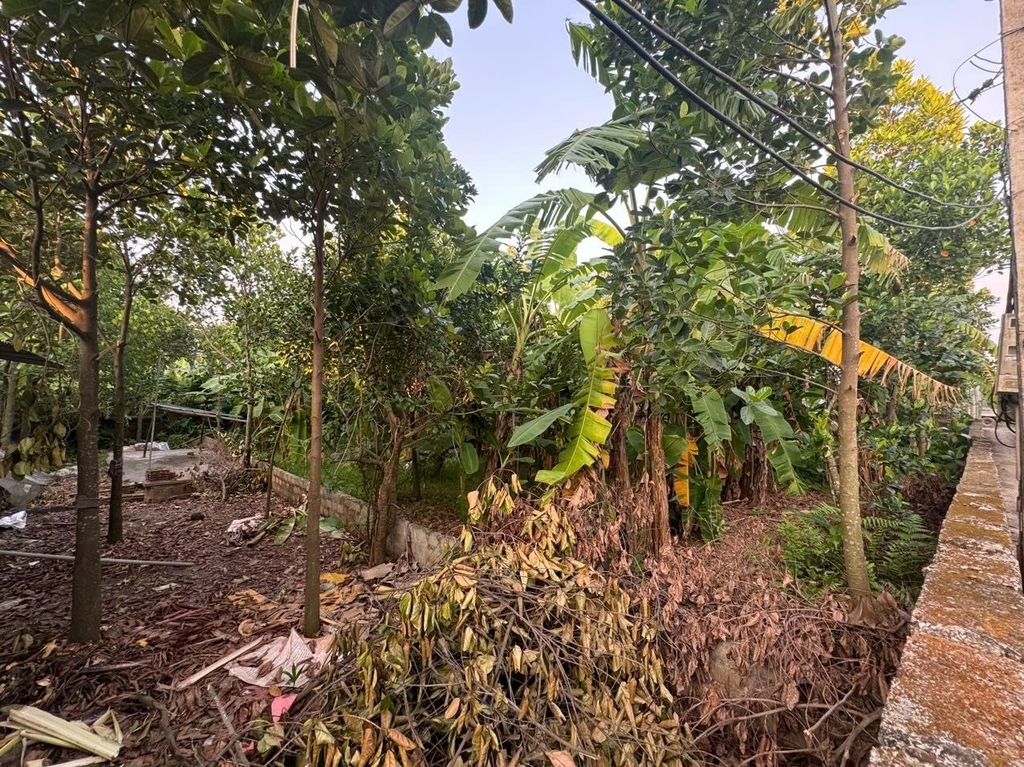 BÁN 500M2 ĐẤT FULL THỔ CƯ - THÔN VẠN PHÚC, HƯƠNG SƠN - GIÁ 5.2 TỶ - Ô TÔ 7 CHỖ VÀO ĐẤT