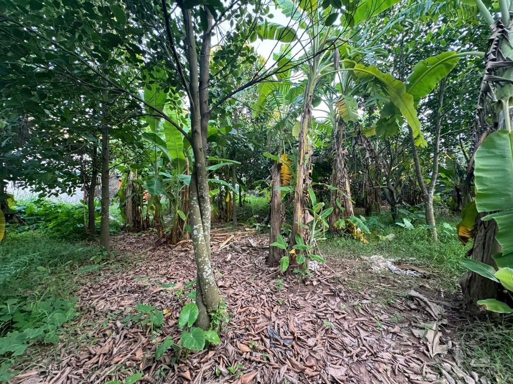 BÁN 500M2 ĐẤT FULL THỔ CƯ - THÔN VẠN PHÚC, HƯƠNG SƠN - GIÁ 5.2 TỶ - Ô TÔ 7 CHỖ VÀO ĐẤT