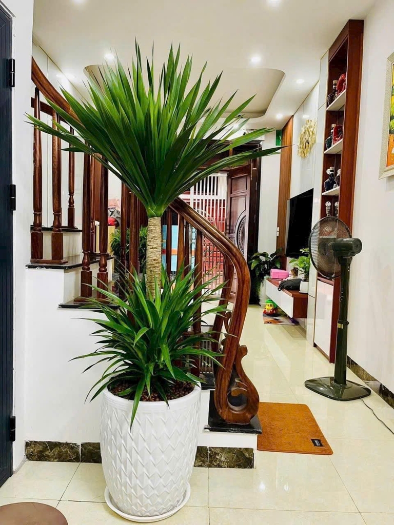 Bán Nhà Trung tâm Lai Xá Hoài đức Hà nội