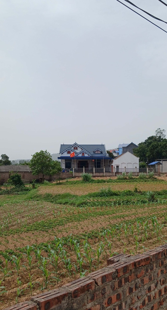 BÁN ĐẤT THỔ CƯ LÔ GÓC VIEW HỒ - 2500M² - THÔN LƯƠNG ĐÌNH, XÃ BẮC HẠ, SÓC SƠN - 11 TỶ