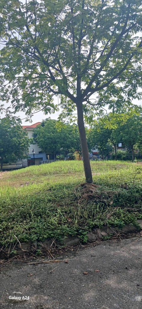 BÁN BIỆT THỰ PHÂN LÔ 218M2 VĨNH PHÚC - 3 MẶT THOÁNG - SÂN VƯỜN RỘNG - 18.9 TỶ